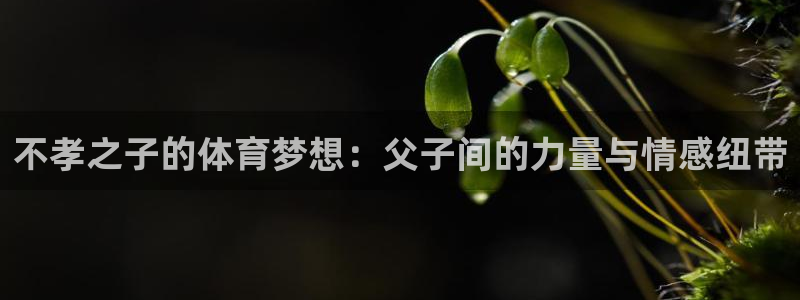 不孝之子的体育梦想：父子间的力量与情感纽带