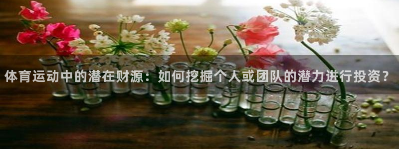 体育运动中的潜在财源：如何挖掘个人或团队的潜力进行投资？