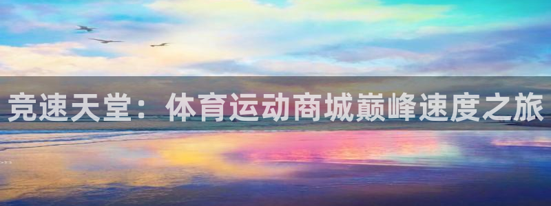 竞速天堂：体育运动商城巅峰速度之旅