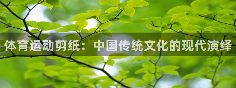 体育运动剪纸：中国传统文化的现代演绎